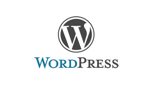 Propojení - word press